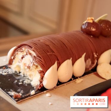 Bûches de Noël Angelina 2018 