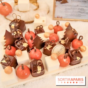 Bûches de Noël Angelina 2018 