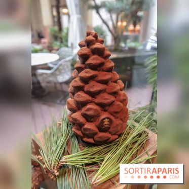 La Bûche de Noël du Prince de Galles 2018 by Nicolas Paciello