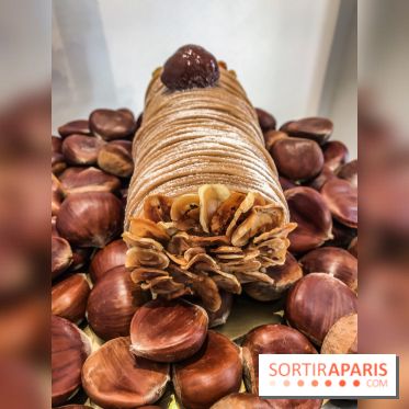 Les Bûches de Noël et Galettes des rois 2018-2019 de Cédric Grolet au Meurice