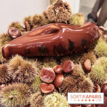 Les Bûches de Noël et Galettes des rois 2018-2019 de Cédric Grolet au Meurice