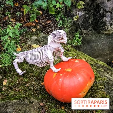 Halloween à la Mer de Sable 2018, les photos