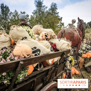 Halloween à la Mer de Sable 2018, les photos