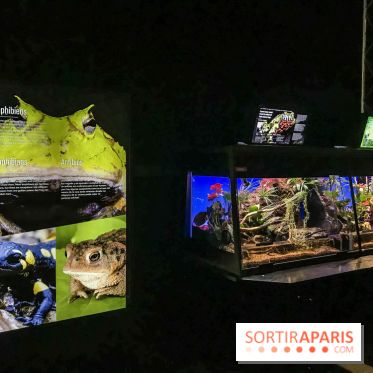 Poison au Palais de la Découverte, les photos 