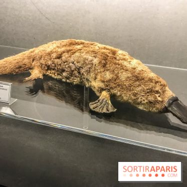 Poison au Palais de la Découverte, les photos 