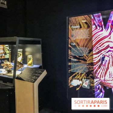 Poison au Palais de la Découverte, les photos 