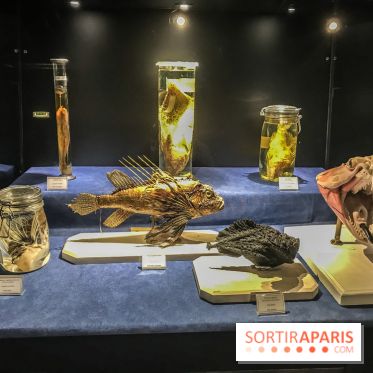 Poison au Palais de la Découverte, les photos 