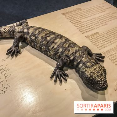 Poison au Palais de la Découverte, les photos 