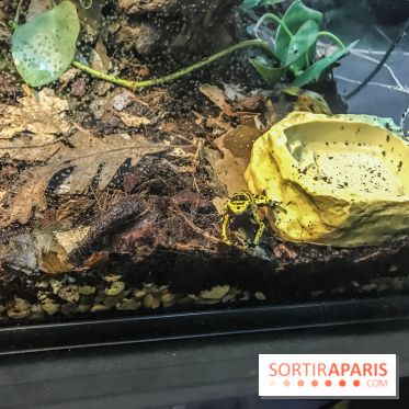 Poison au Palais de la Découverte, les photos 