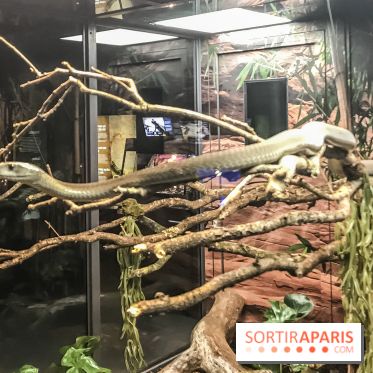 Poison au Palais de la Découverte, les photos 