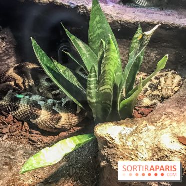 Poison au Palais de la Découverte, les photos 