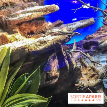 Poison au Palais de la Découverte, les photos 