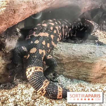 Poison au Palais de la Découverte, les photos 