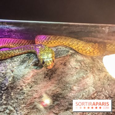 Poison au Palais de la Découverte, les photos 