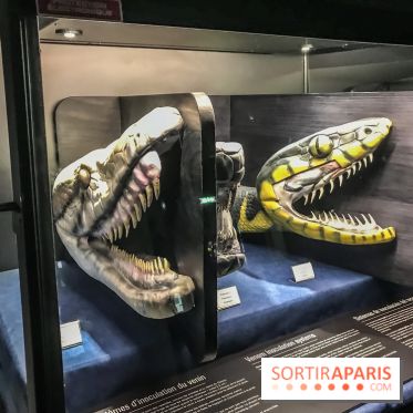 Poison au Palais de la Découverte, les photos 