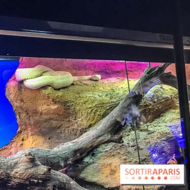 Poison au Palais de la Découverte, les photos 