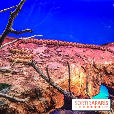 Poison au Palais de la Découverte, les photos 