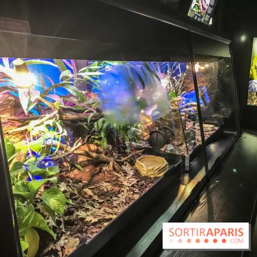 Poison au Palais de la Découverte, les photos 