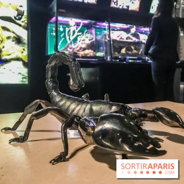 Poison au Palais de la Découverte, les photos 