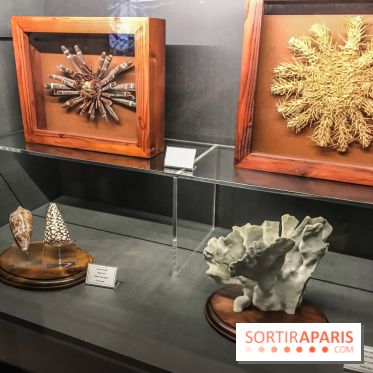 Poison au Palais de la Découverte, les photos 