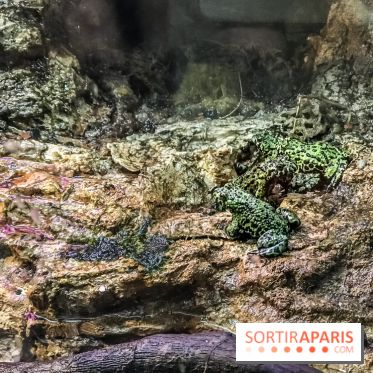 Poison au Palais de la Découverte, les photos 