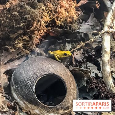 Poison au Palais de la Découverte, les photos 