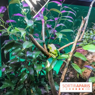 Poison au Palais de la Découverte, les photos 