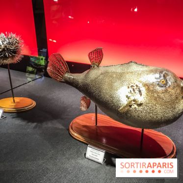 Poison au Palais de la Découverte, les photos 