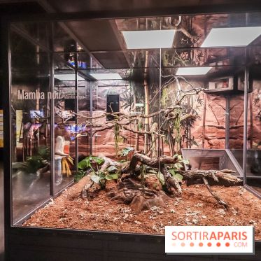 Poison au Palais de la Découverte, les photos 