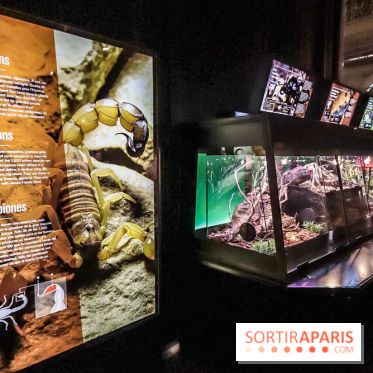Poison au Palais de la Découverte, les photos 
