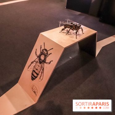 Poison au Palais de la Découverte, les photos 