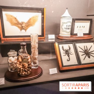 Poison au Palais de la Découverte, les photos 