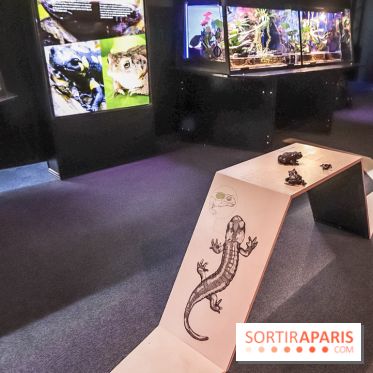 Poison au Palais de la Découverte, les photos 