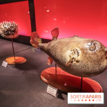 Poison au Palais de la Découverte, les photos 