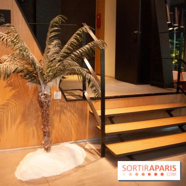 Reality Check au Cinq Codet