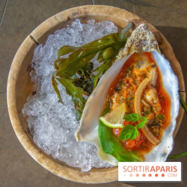 Shirvan, l'adresse métissée de l'Alma 