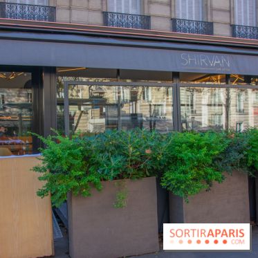 Shirvan, l'adresse métissée de l'Alma 