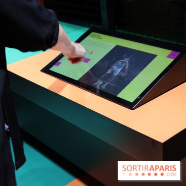 Corps et sport : nos photos