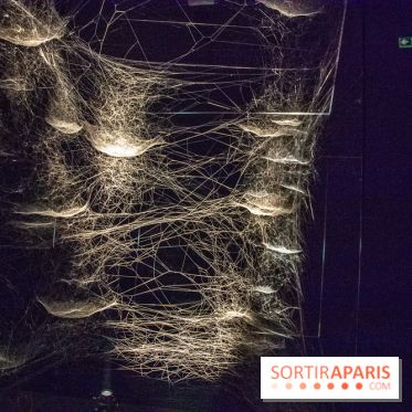 Carte Blanche à Tomas Saraceno au Palais de Tokyo