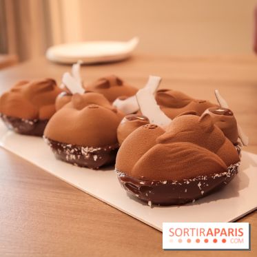 Les Bûches de Noël 2018 de Yann Couvreur, les photos