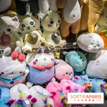 Paris Games Week 2018, les photos