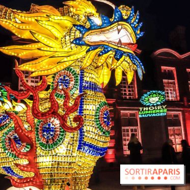 Thoiry Lumières Sauvages, les photos