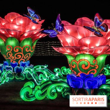 Thoiry Lumières Sauvages, les photos