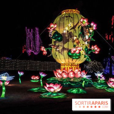 Thoiry Lumières Sauvages, les photos