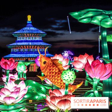 Thoiry Lumières Sauvages, poissons -  - visuel