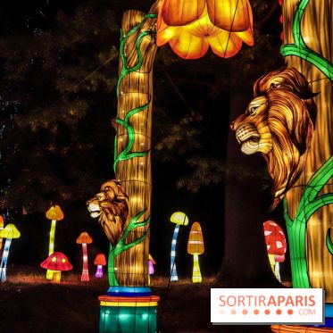 Thoiry Lumières Sauvages, les photos images