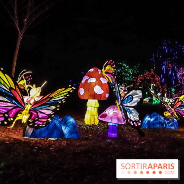 Thoiry Lumières Sauvages, les photos