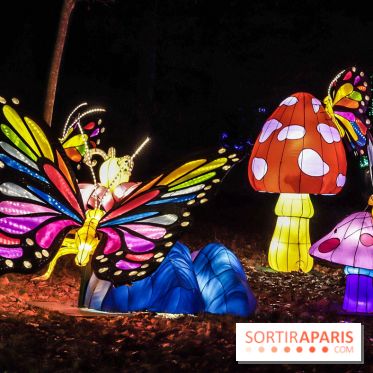 Thoiry Lumières Sauvages, les photos