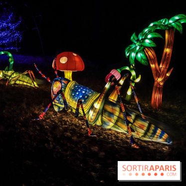 Thoiry Lumières Sauvages, les photos