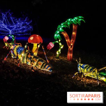 Thoiry Lumières Sauvages, les photos